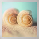 Buscar nautilus posters Náutico