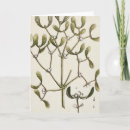 Buscar herbario postales Blackwell