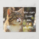 Buscar nervioso postales Gato