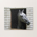 Buscar caballo gris puzzles 6 º caballito