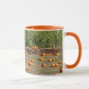 Buscar heno tazas botellas Naturaleza