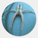 Buscar arácnidos pegatinas Naturaleza