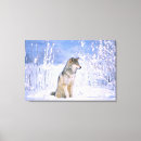 Buscar lobo lienzos Nieve