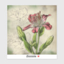 Buscar alstroemeria postales Botánico