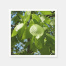 Buscar abedul servilletas Naturaleza