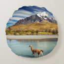 Buscar del chile cojines Hermoso