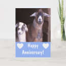 Buscar funny anniversary tarjetas Parejas
