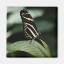 Buscar large imanes Negro