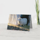 Buscar atracciones tarjetas General y unisex