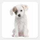 Buscar edad 2 pegatinas Adorable