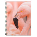 Buscar chile libretas Animal