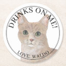 Buscar gatos posavasos Para ella