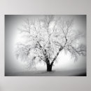 Buscar escarchado posters Invierno