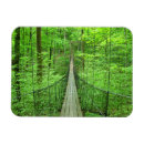 Buscar cuerda imanes Naturaleza