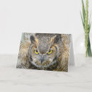 Buscar siguiente tarjetas General y unisex