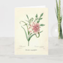 Buscar clavel tarjetas Rosa