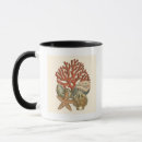 Buscar sealife tazas Naturaleza