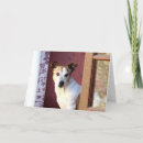 Buscar pérdida del perro tarjetas Animal