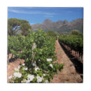 Buscar viñedos azulejos Imagen de color