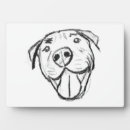 Buscar pitbull pet casa hogar Animal