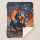 Buscar doxies Perro salchicha