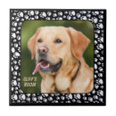 Buscar mascota azulejos Familia