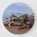 Buscar driftwood relojes de pared Playa