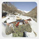 Buscar rifles postales Equipo