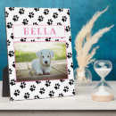 Buscar mascota memoriales fotos Perros