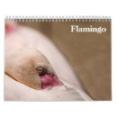 Buscar flamingo calendarios Flamencos