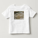 Buscar neblina camisetas Al aire libre