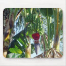 Buscar plátano alfombrillas de raton Tropical