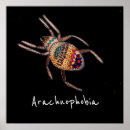 Buscar tarantula decoracion Aracnofobia