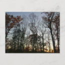 Buscar noviembre postales General y unisex