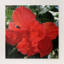 Buscar flores naranjas puzzles Para ella