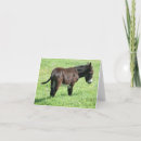 Buscar donkey tarjetas Animales