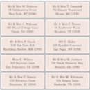 Buscar topo pegatinas Simple