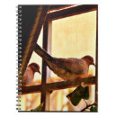 Buscar palomas cuadernos Pájaros