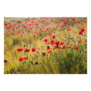Buscar fertilidad posters Primavera