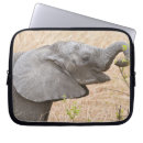 Buscar fauna fundas Mamífero