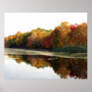 Buscar bella fotografía arte Otoño