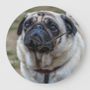 Buscar pug relojes de pared Perros
