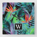 Buscar tropical rainforest arte Bird of paradise