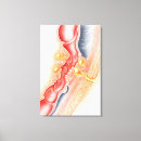 Buscar bacteriología arte Rojo