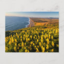 Buscar national postales Costa