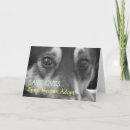 Buscar rescu tarjetas Pets