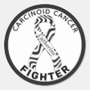 Buscar cebras manualidades Conciencia