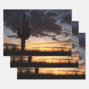 Buscar desierto papel de regalo Saguaro