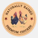 Buscar pollos etiquetas General y unisex