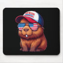 Buscar capybara electronica Carpincho
